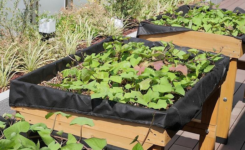 秋にむけて着々と…