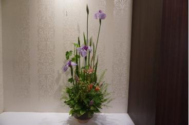 菖蒲の花画像2