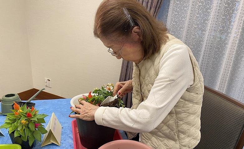 土に触れて楽しむ寄せ植え体験