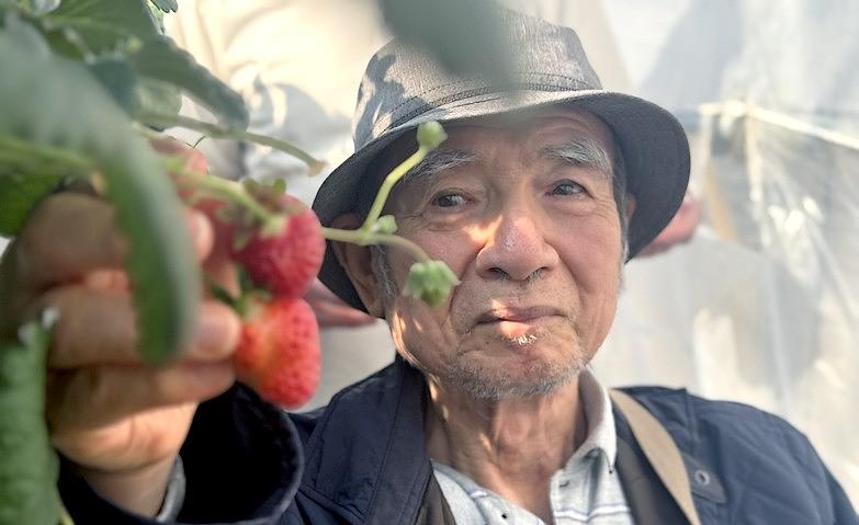 初めてのいちご狩り