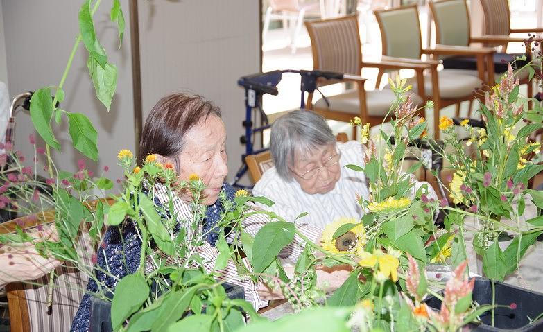 夏のお花畑、たのしみます