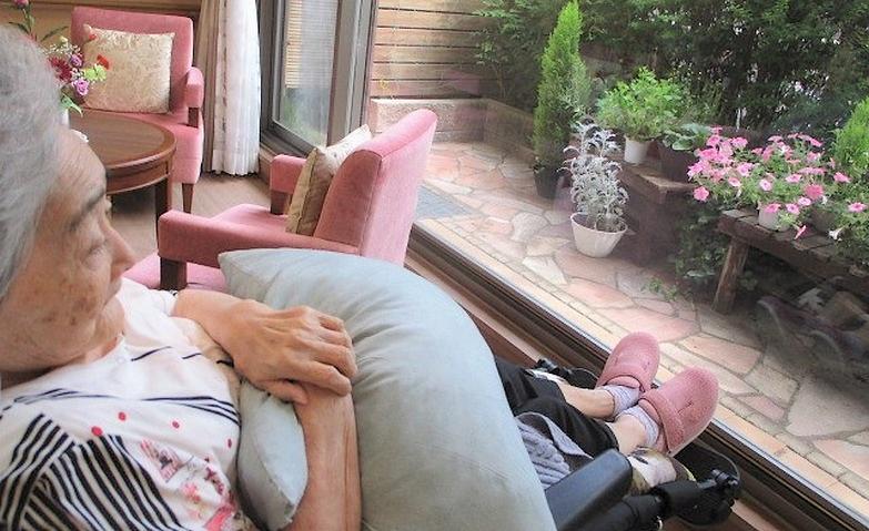 午後のリラックスタイム