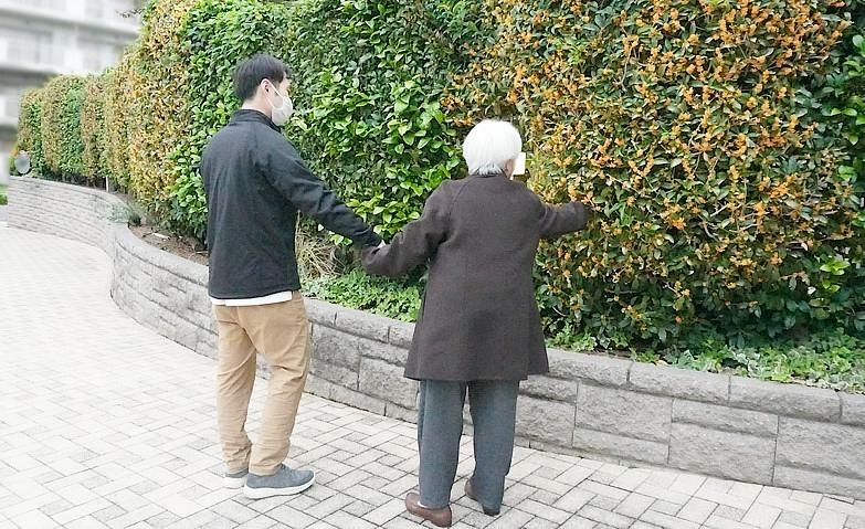 キンモクセイの香りに誘われて