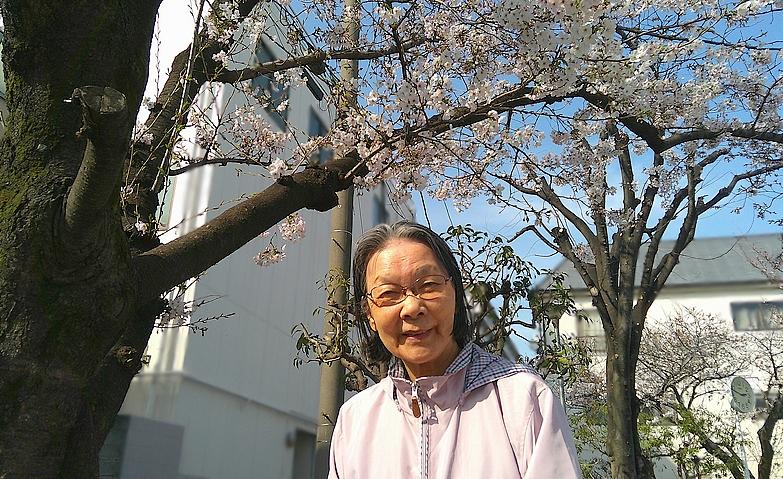 お花見に行ってきました！