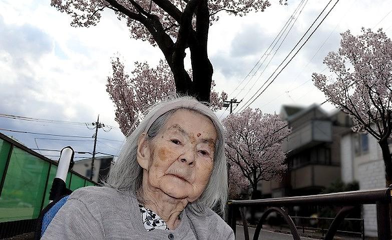 お花見