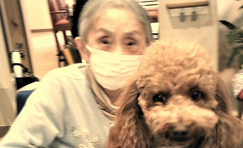 ワンちゃんと一緒！～犬とのふれあい～
