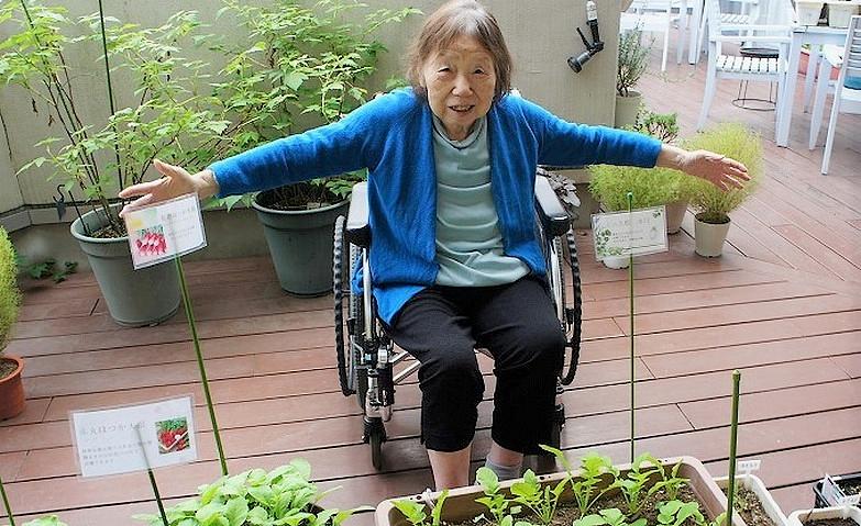 大根たちをご紹介します！