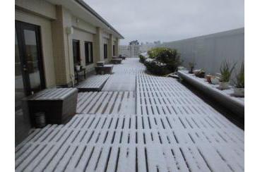 「アリア哲学堂」祝14周年雪が降りました画像2