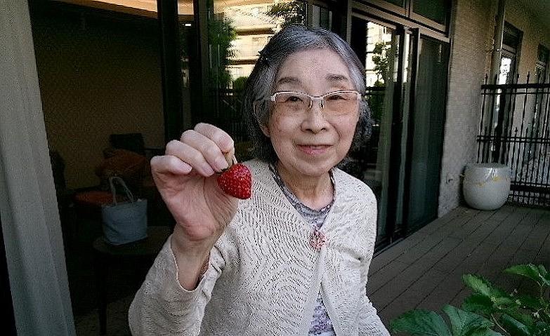 大きなイチゴが採れました～！