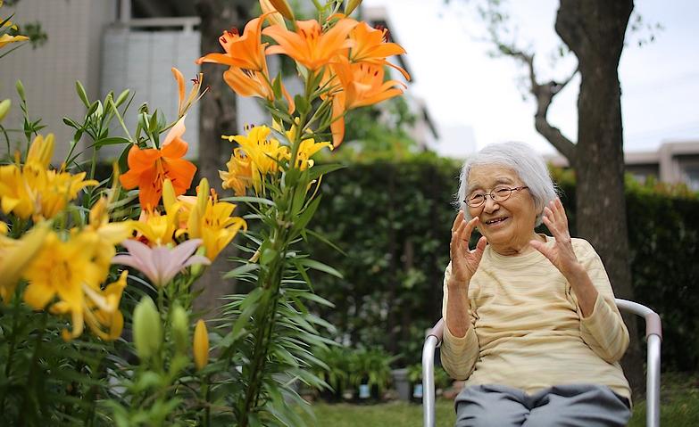 背丈を比べて楽しむ中庭のユリ