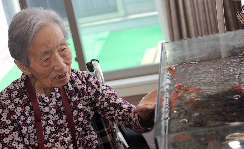 「私のかわいい金魚ちゃん」