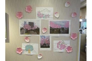 桜の季節画像3