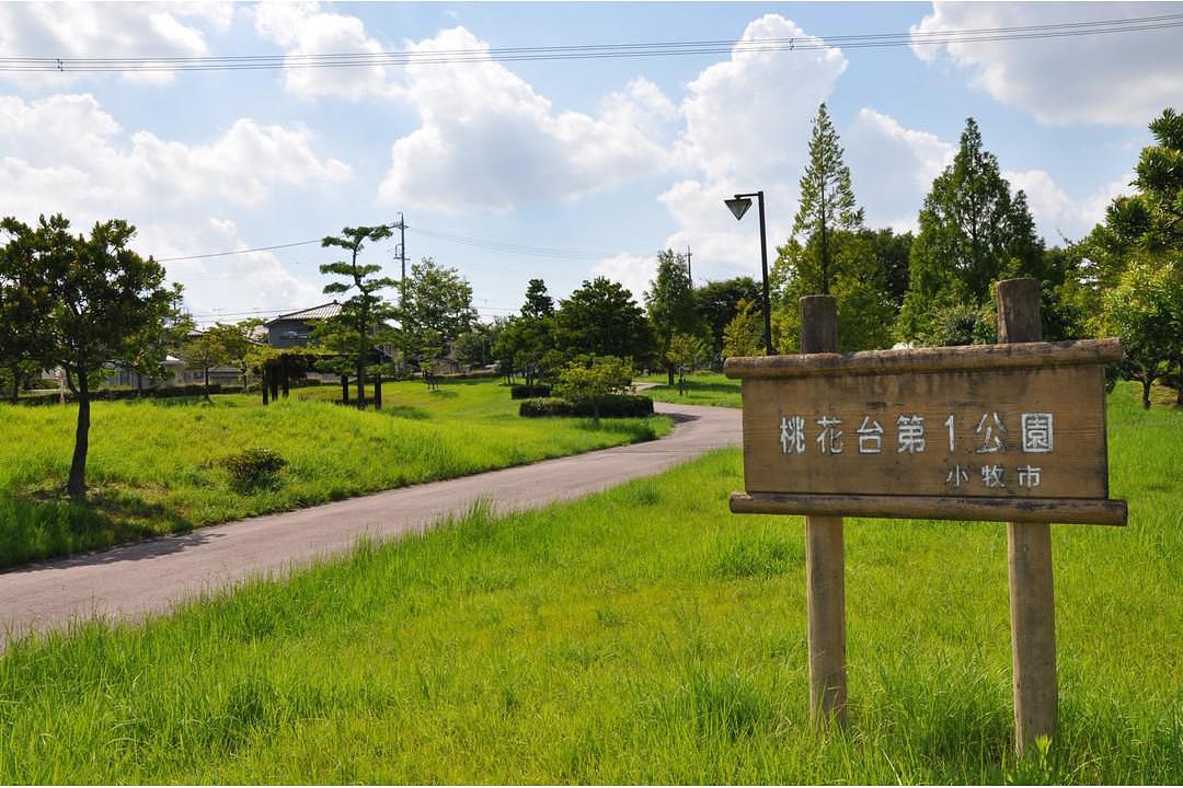 桃花台第1公園