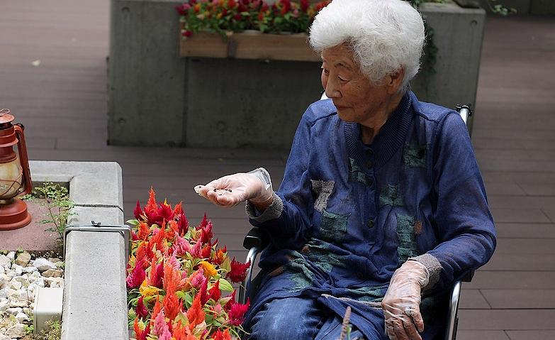 皆様と楽しむ花壇作り
