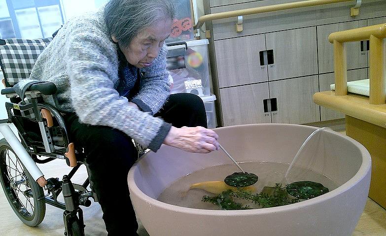 わたしの日課