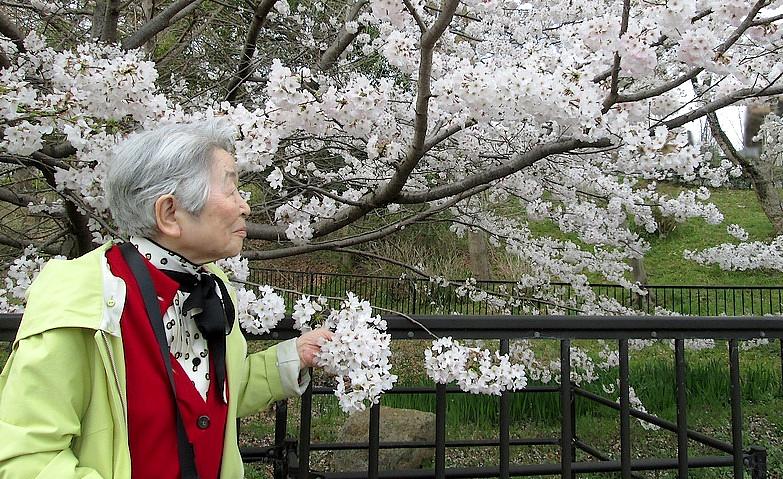桜もご本人様もどちらもおきれい