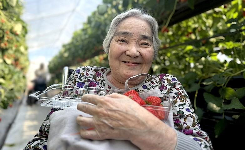 1番好きな果物はいちご