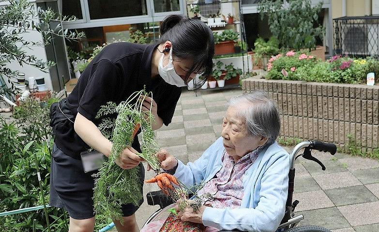 お風呂の合間にニンジン収穫！