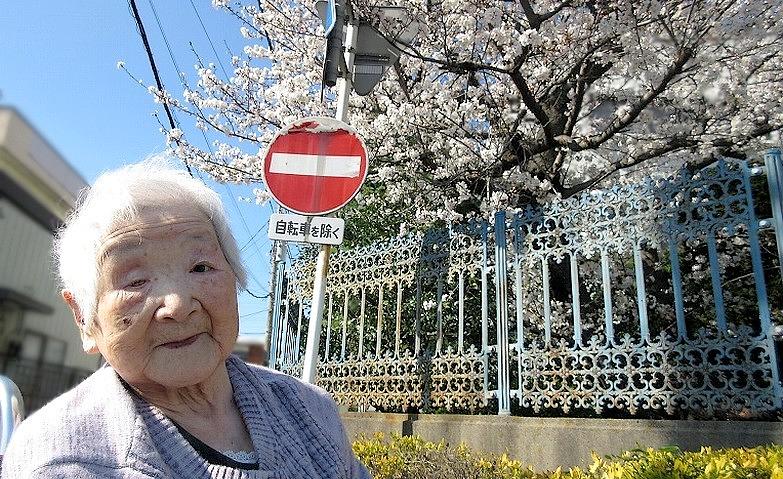 お花見