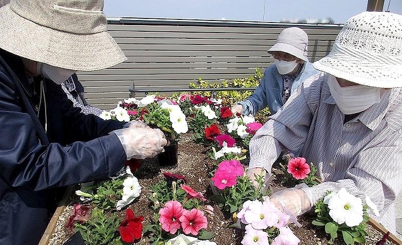 お花の植え替え