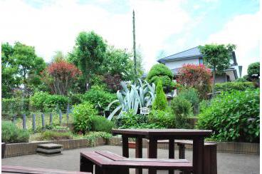 竜舌蘭と、中庭の様子画像2