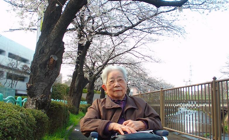 桜の季節になりました