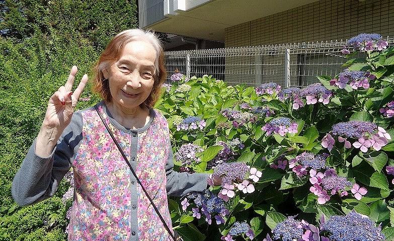彩り豊かなアジサイが咲く中庭