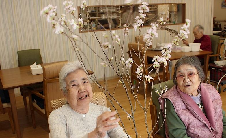 ホームの中でも桜を