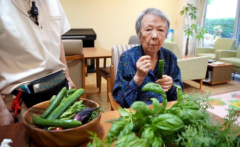 夏野菜を大収穫！