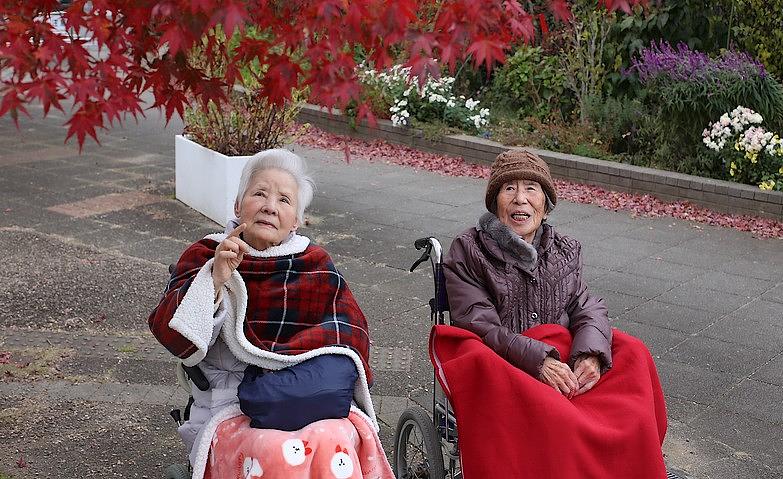 紅葉狩り