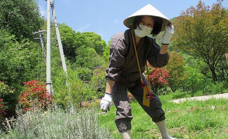 ハーブを植えました！