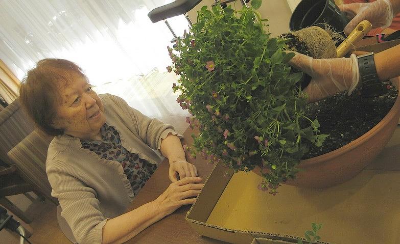 花の植え替え～玄関の迎え花～