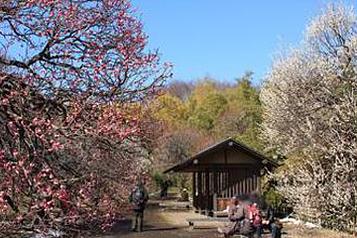 神代植物公園