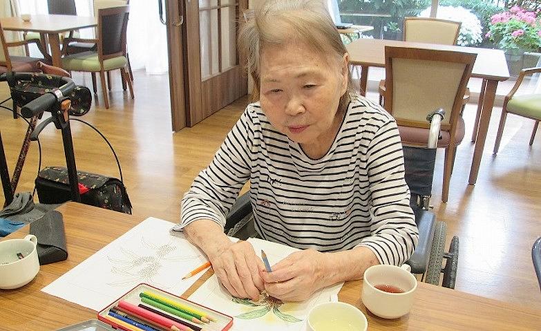 塗り絵アクティビティ