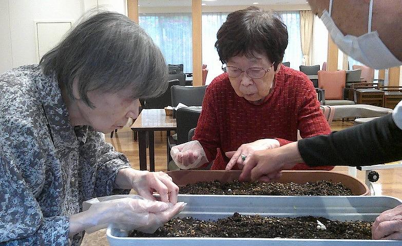 大きく育つことを願って