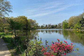 善福寺公園