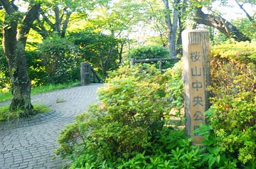 桜山中央公園