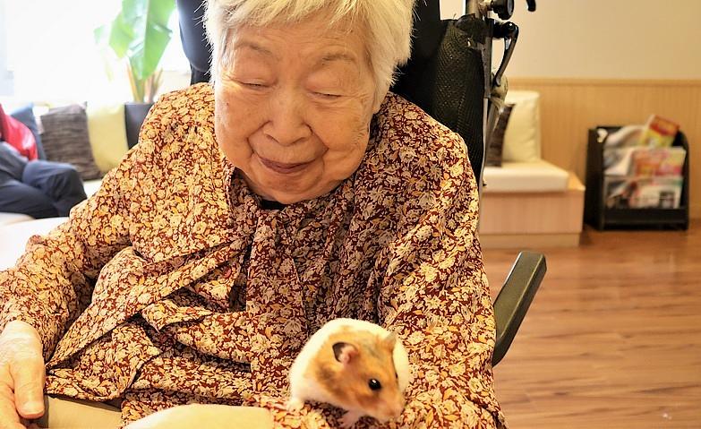 「きなこ」とのふれあい