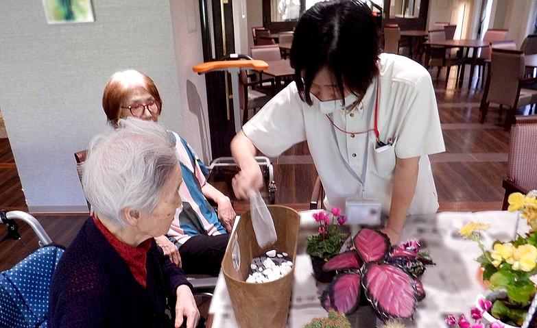 花の寄せ植え