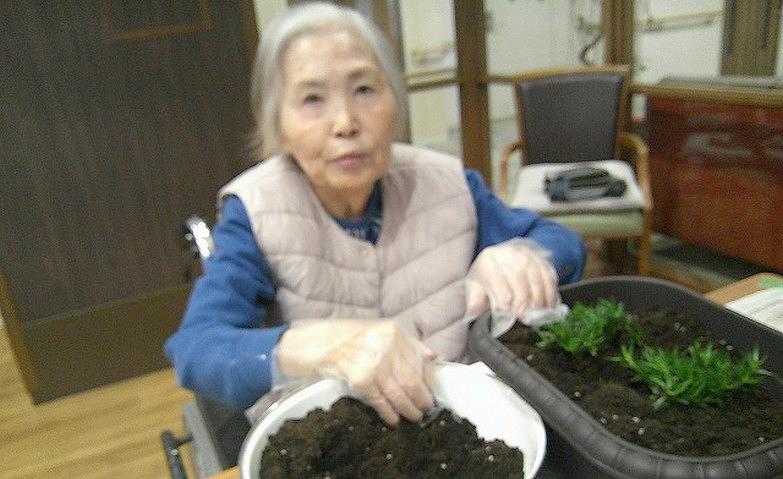 花咲く日を楽しみに