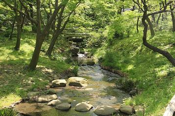 三渓園(園内の景観)