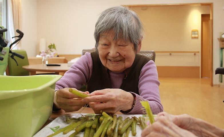 懐かしのフキの皮むき