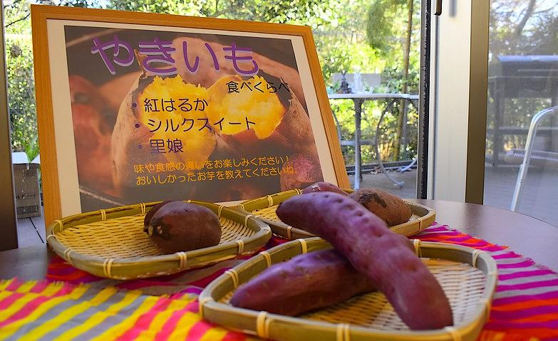 「焼き芋の会」アクティビティ			