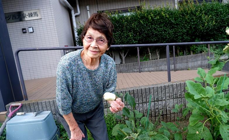 白ナスが順調に育っています！