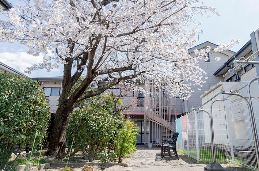 1F 庭/桜