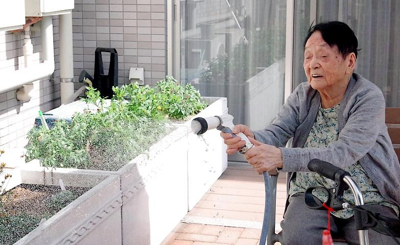 「今日は暑いからたくさんお水あげなきゃね」