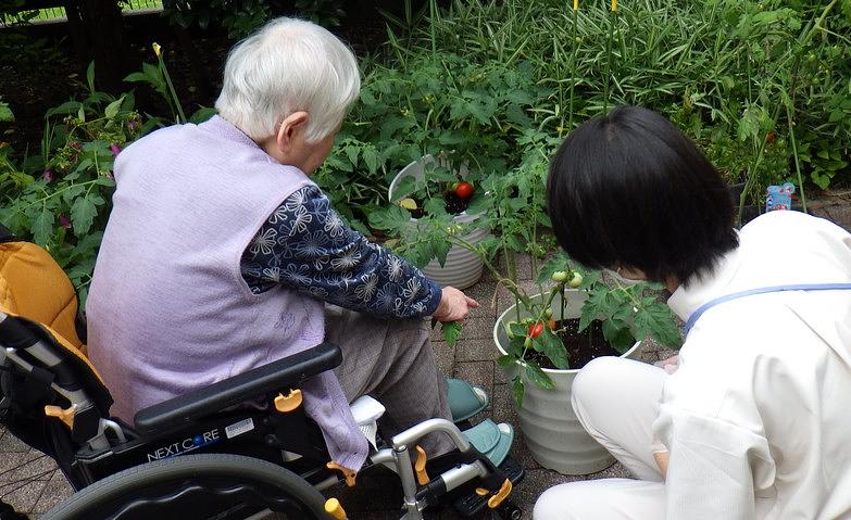 お庭を散策～夏野菜のお世話～